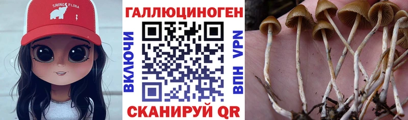 наркошоп  Островной  Галлюциногенные грибы MAGIC MUSHROOMS 